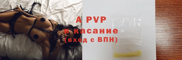 гашик Белокуриха