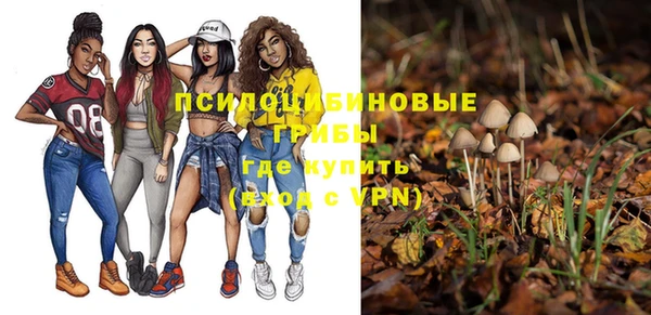 гашик Белокуриха