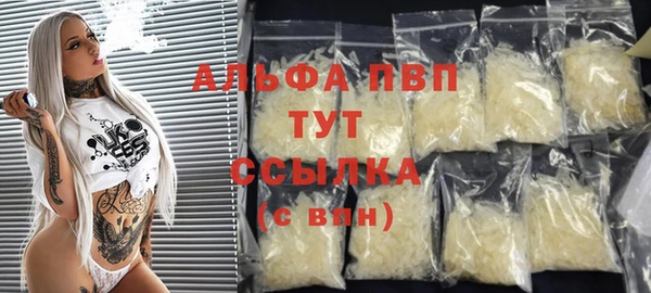 гашик Белокуриха